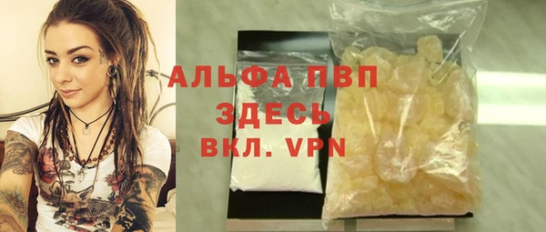 первитин Новодвинск