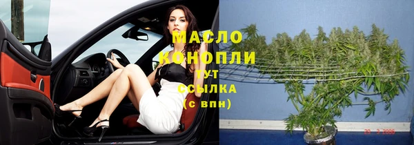 первитин Новодвинск